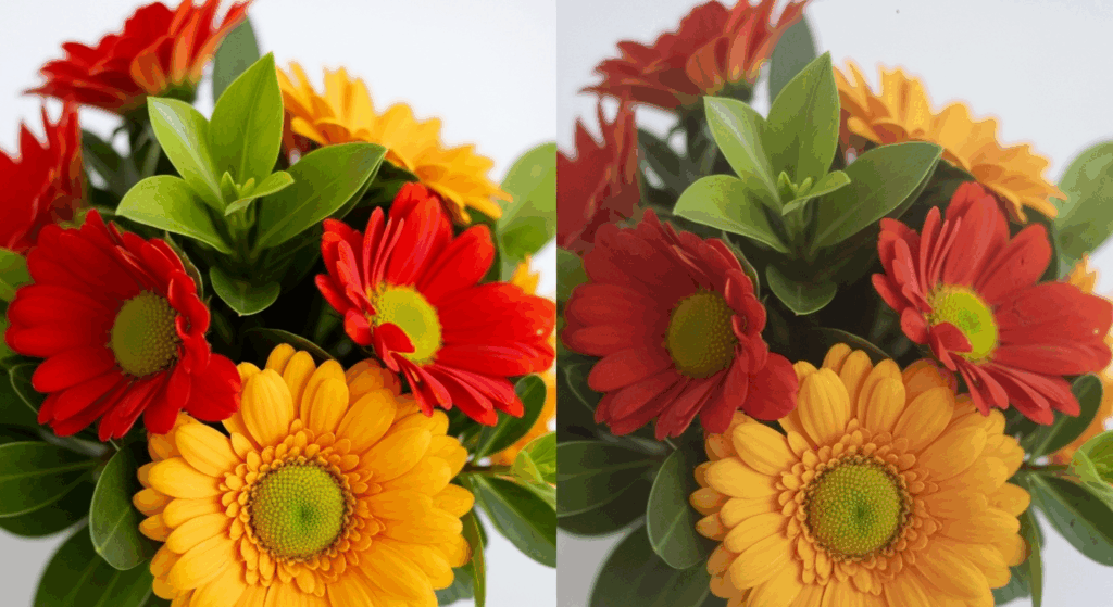 A split image of a vibrant, colorful flower arrangement, where one side shows crisp petals and clear colors, and the other side displays slightly smeared and less defined edges caused by astigmatism.